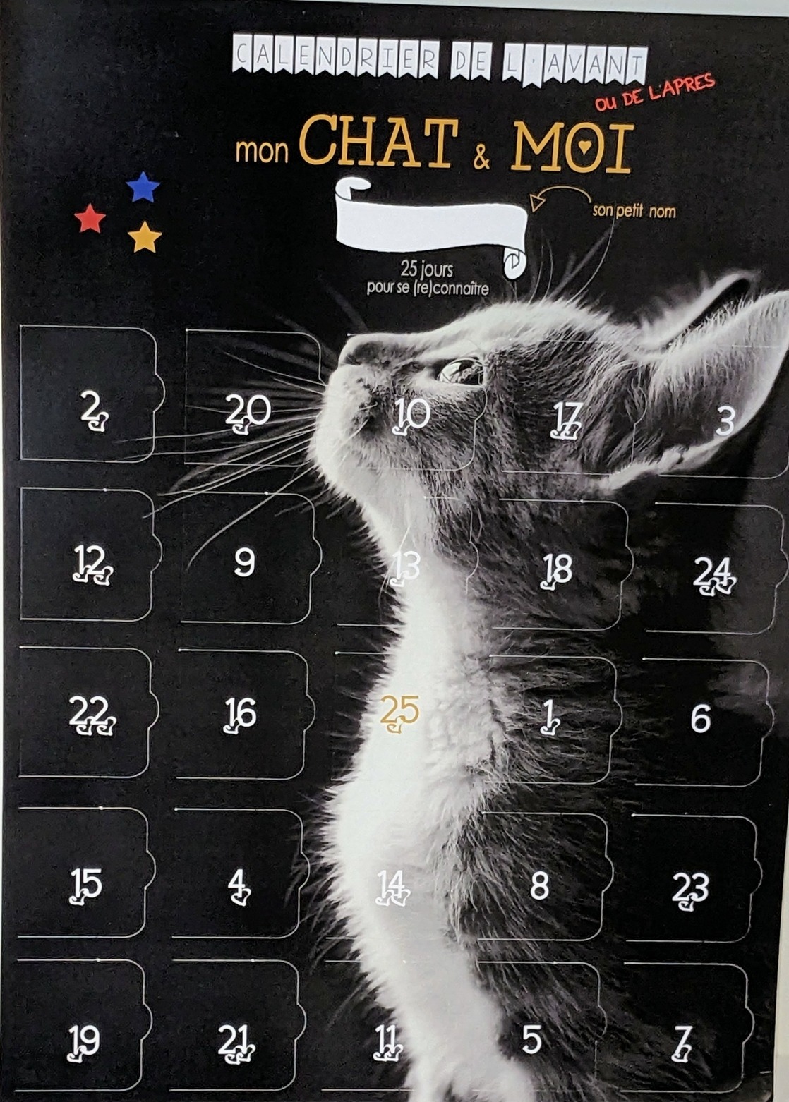 carte géante calendrier chat
