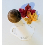 PXL_20250920_125837243~2