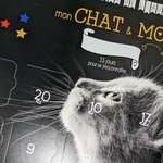 carte géante calendrier chat