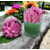 Screenshot_20240628-111902