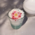 share_5785690368366698853