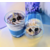 Screenshot_20250905-161451