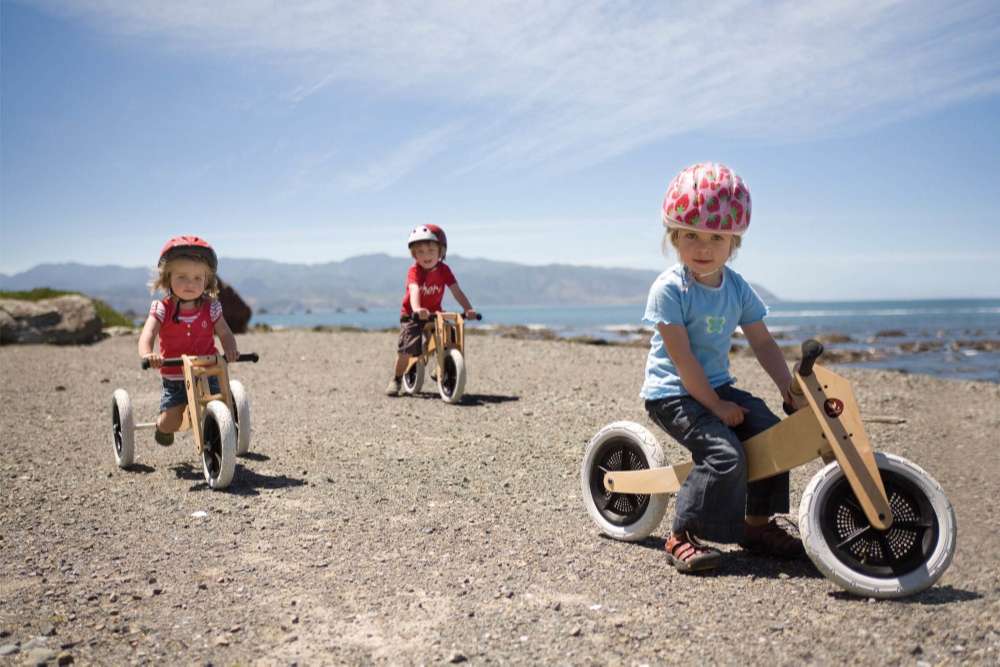 draisienne bois évolutive enfant - apprendre le vélo