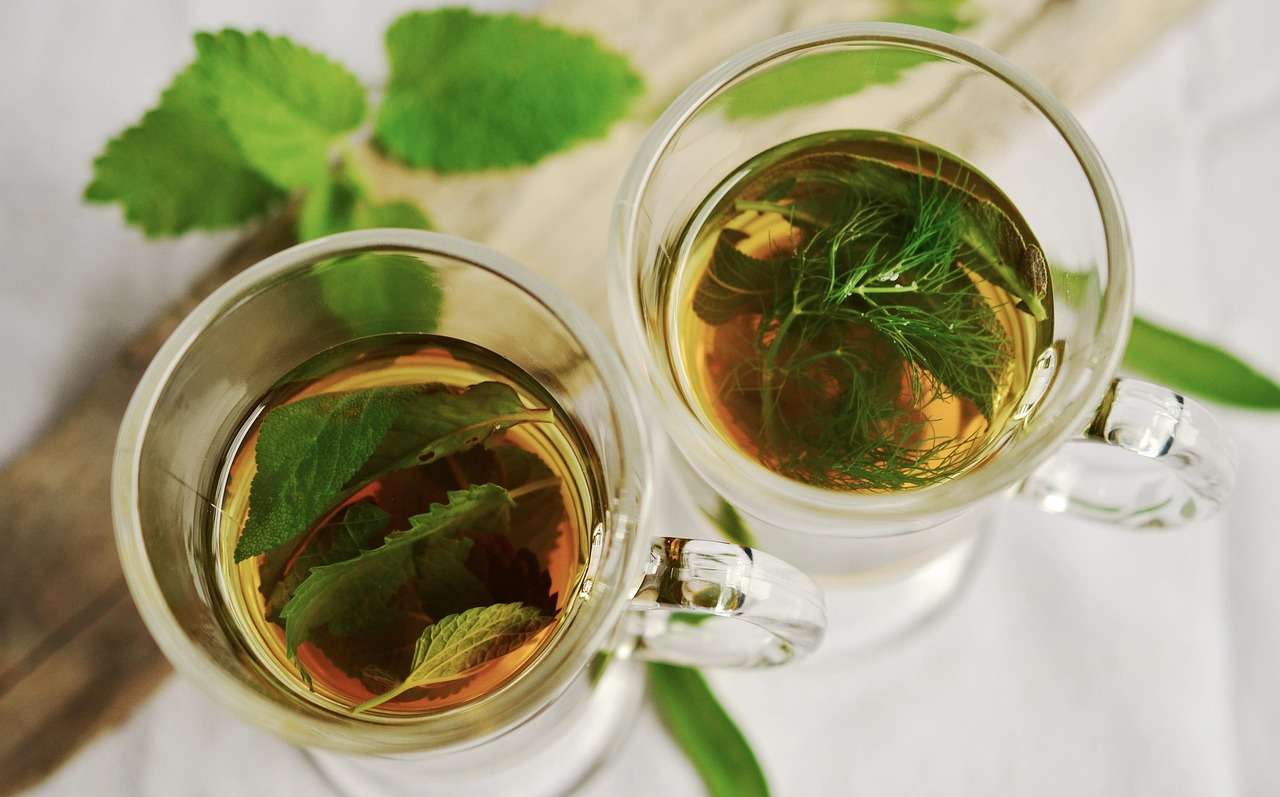 Tisanes aux plantes anti-inflammatoires – thé vert, menthe et fenouil pour drainer et apaiser les articulations