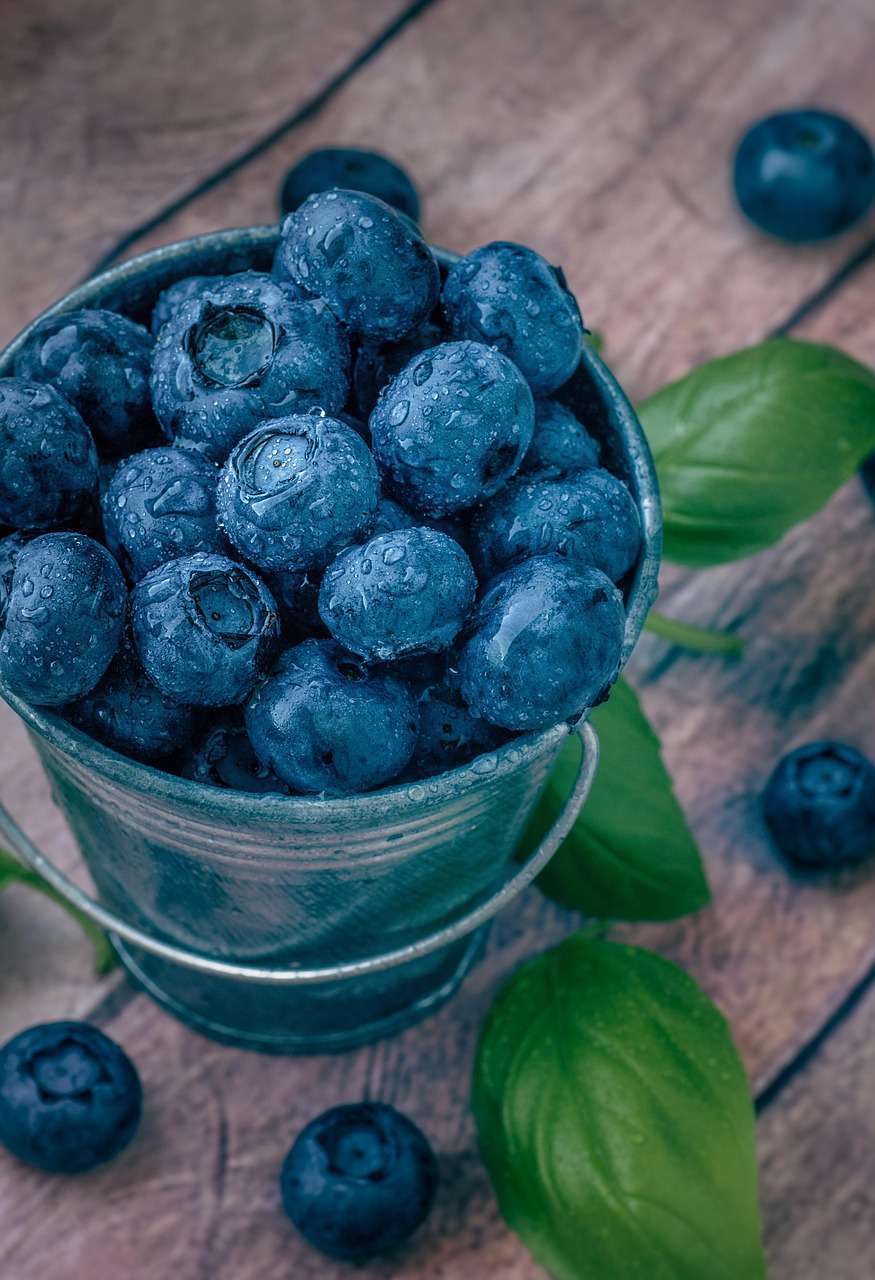 Myrtilles fraîches riches en antioxydants – fruits rouges recommandés pour une alimentation anti-inflammatoire