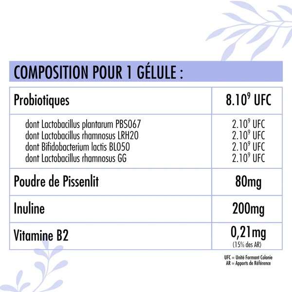 Composition détaillée d’une gélule de Nutribiotique  8 milliards d’UFC de probiotiques, inuline, pissenlit et vitamine B2