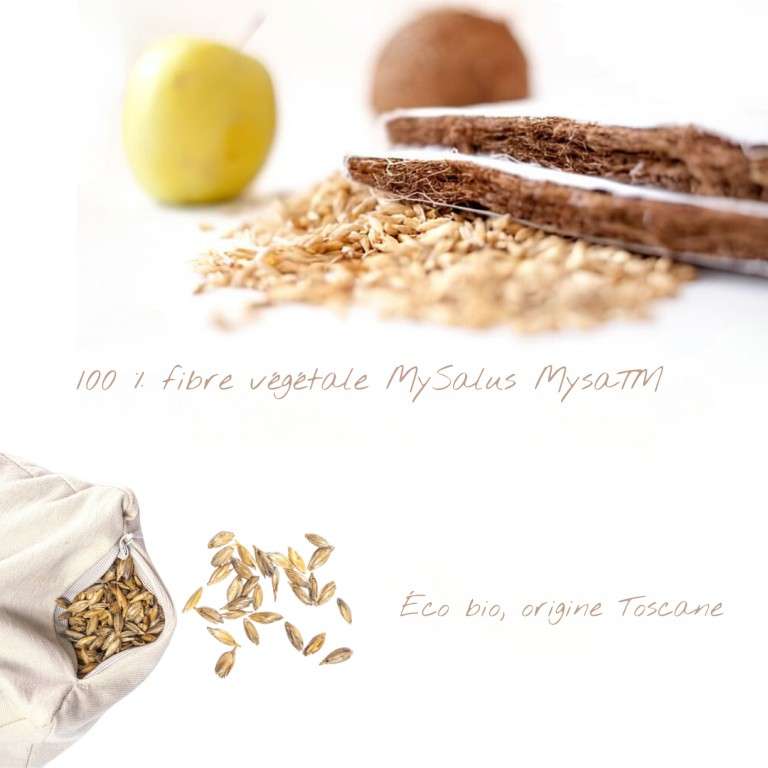 Gros plan sur la fibre végétale MySalus Mysa et les grains d’épeautre biologique utilisés dans les produits Mysa