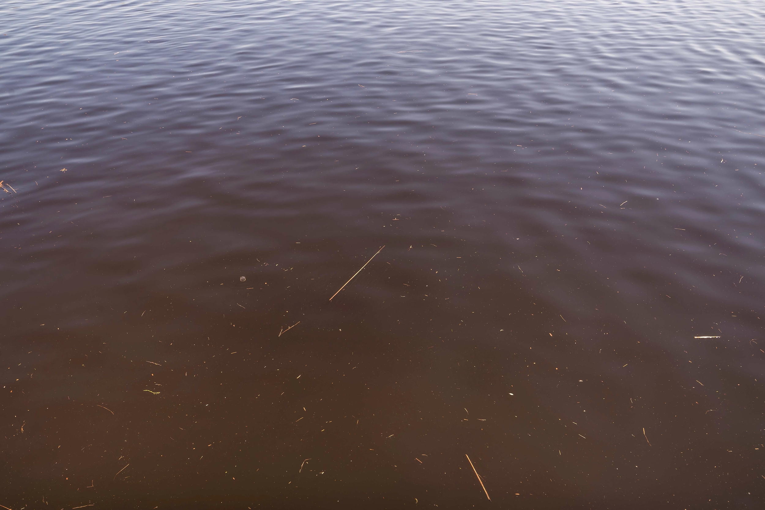 eau trouble