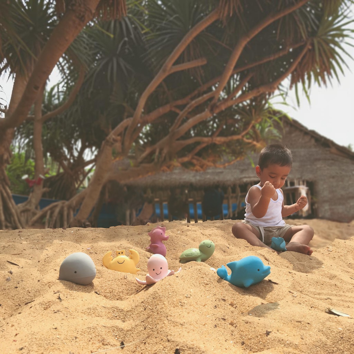 Jeune enfant assis dans le sable devant les six animaux marins Tikiri en caoutchouc naturel