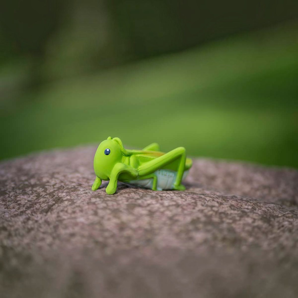 mon premier animal du jardin  jouet en caoutchouc naturel - sauterelle