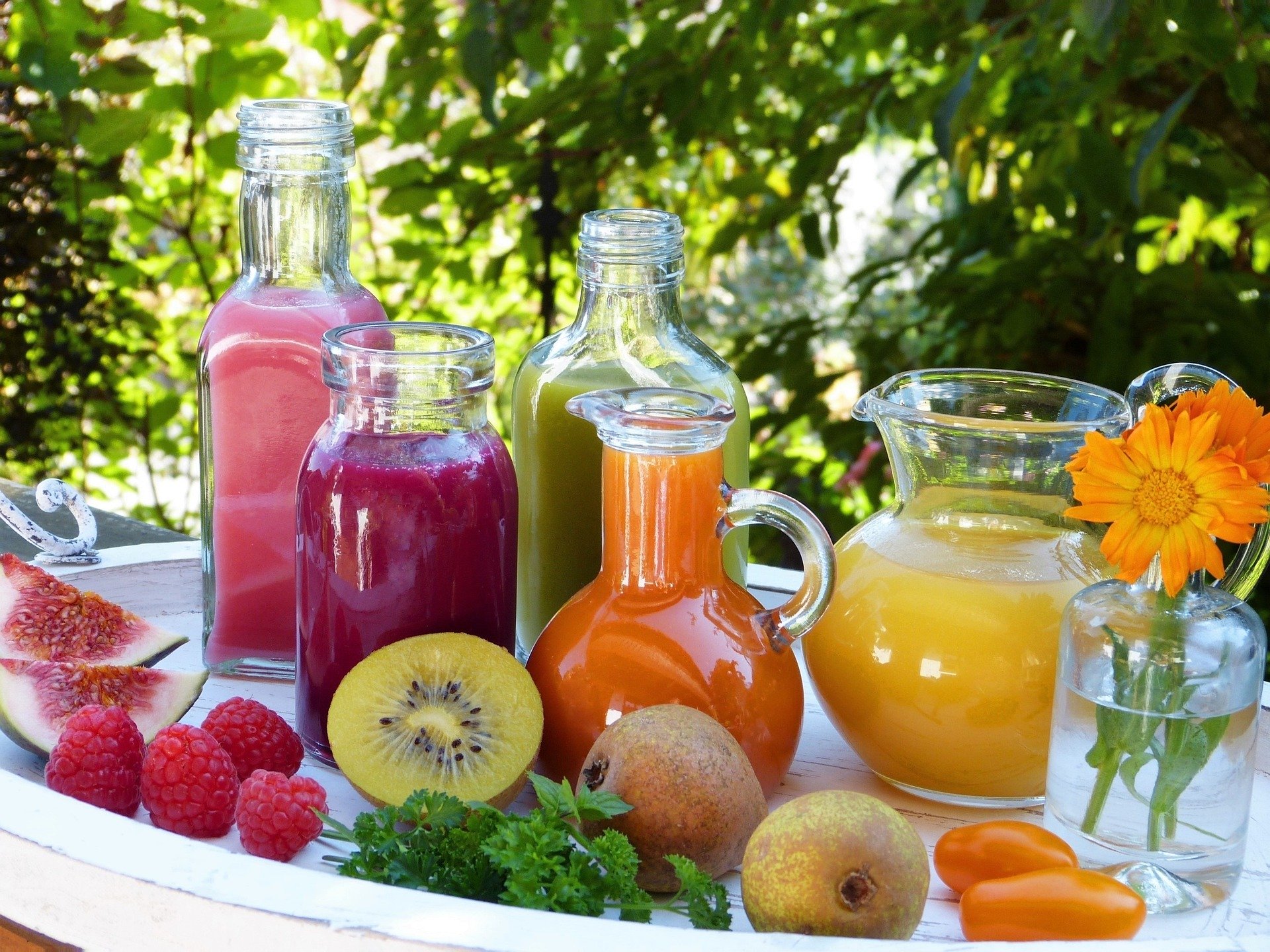 Comment faire le meilleur jus de fruit pour la santé : extracteur ou centrifugeuse ?