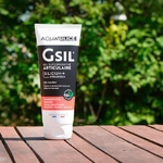 gsil - gel surconcenttré articulaire