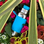 gourde pura Isotherme  475ml - bleu