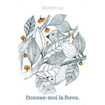 Carte du jeu Paroles de Fée évoquant la douceur, le courage et la force intérieure
