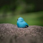 mon premier animal du jardin  jouet en caoutchouc naturel - oiseau bleu
