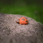 mon premier animal du jardin  jouet en caoutchouc naturel - coccinelle