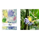 2071-carte-postale-kidsonroof-papillon-totem-pop-out-cards