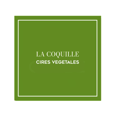 bougie coquille une création artisanale signée PonPon Curiositas