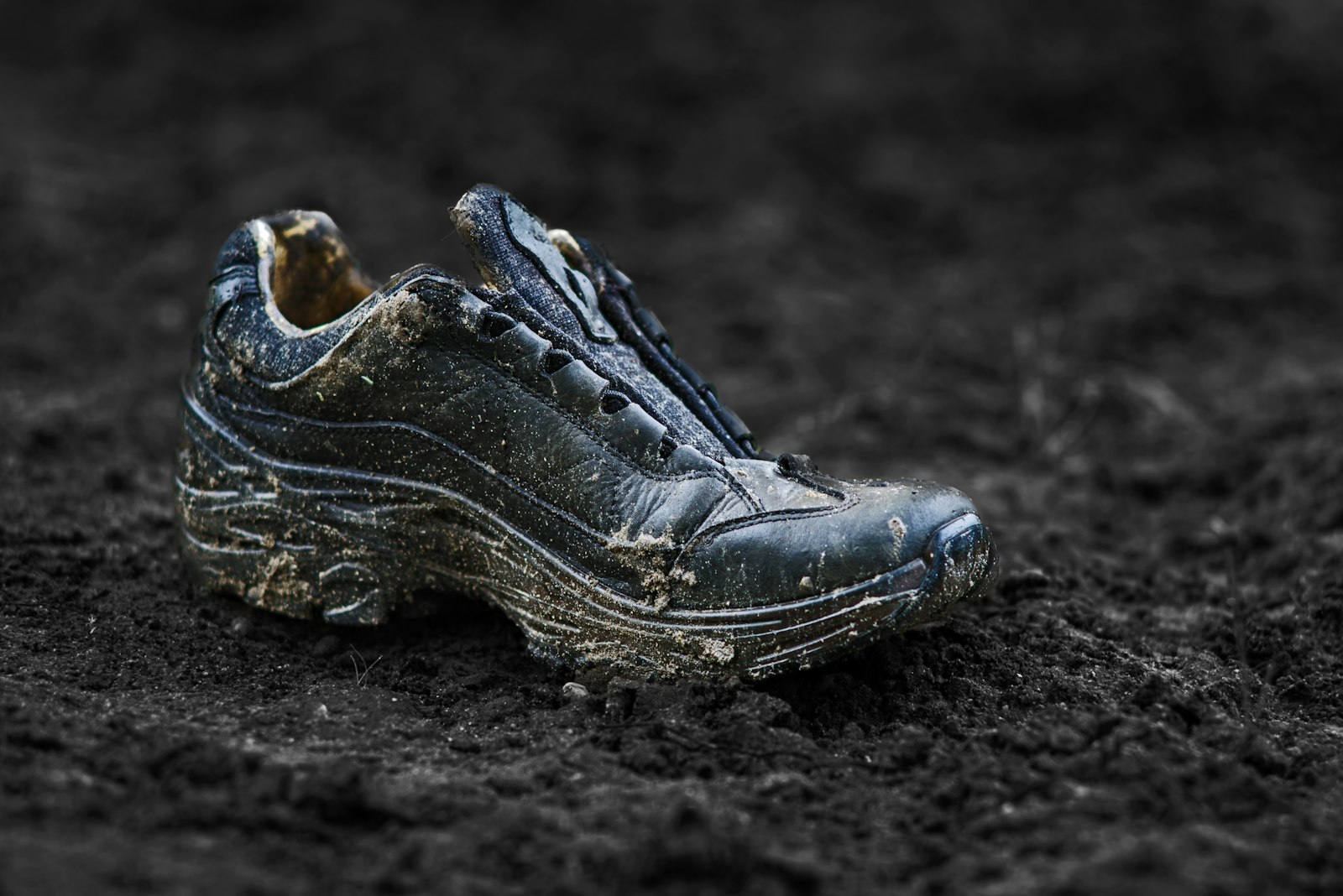 Toutes les chaussures de trail