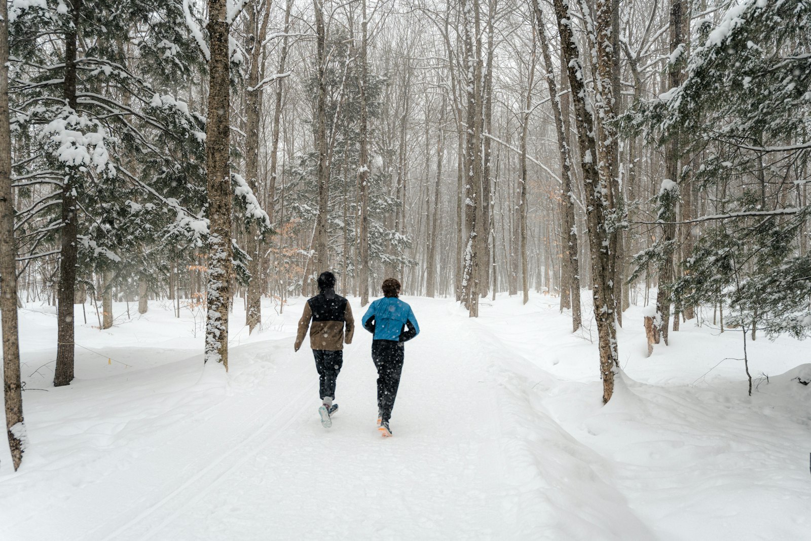 coureurs foret neige hiver