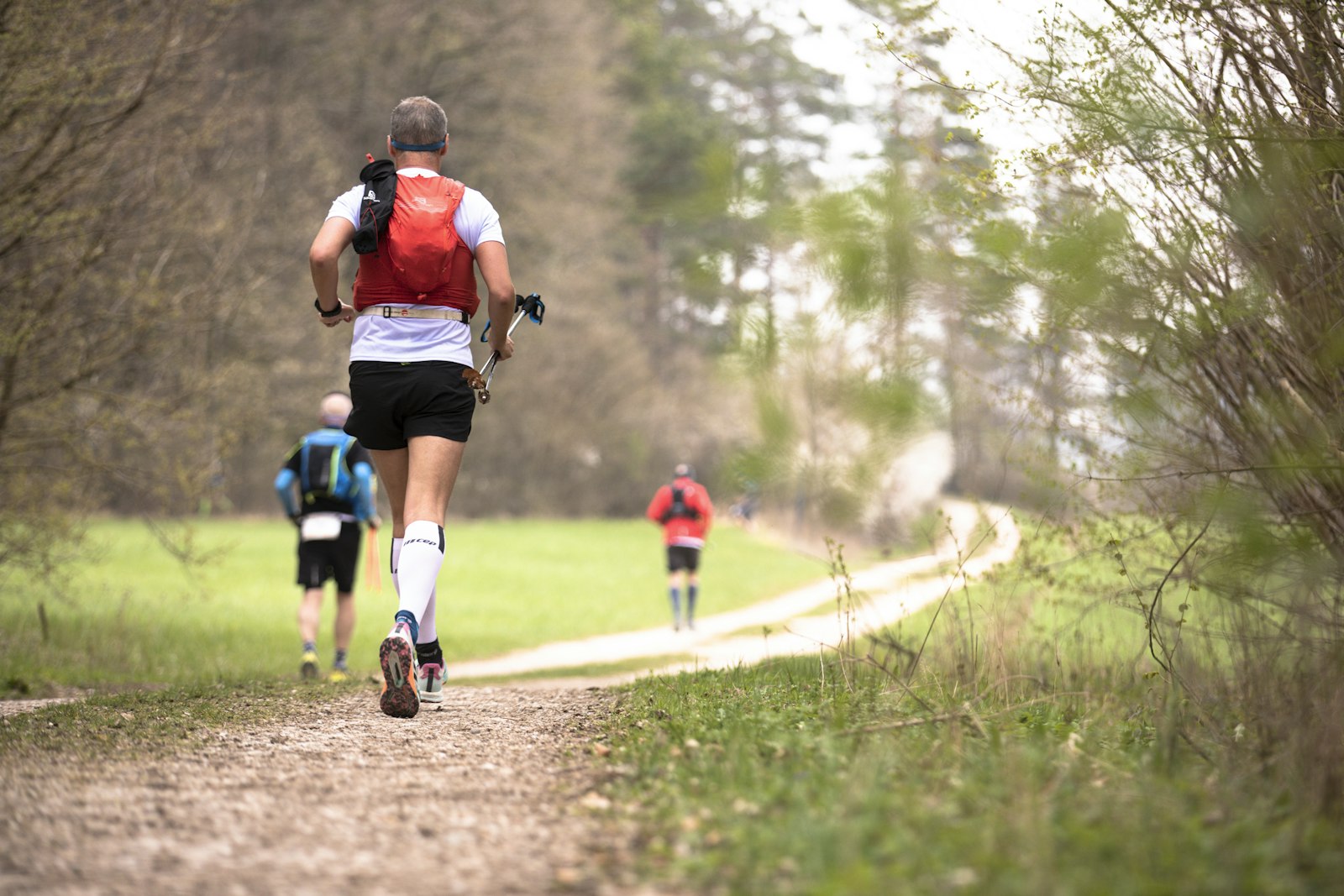 groupe trail foret sortie