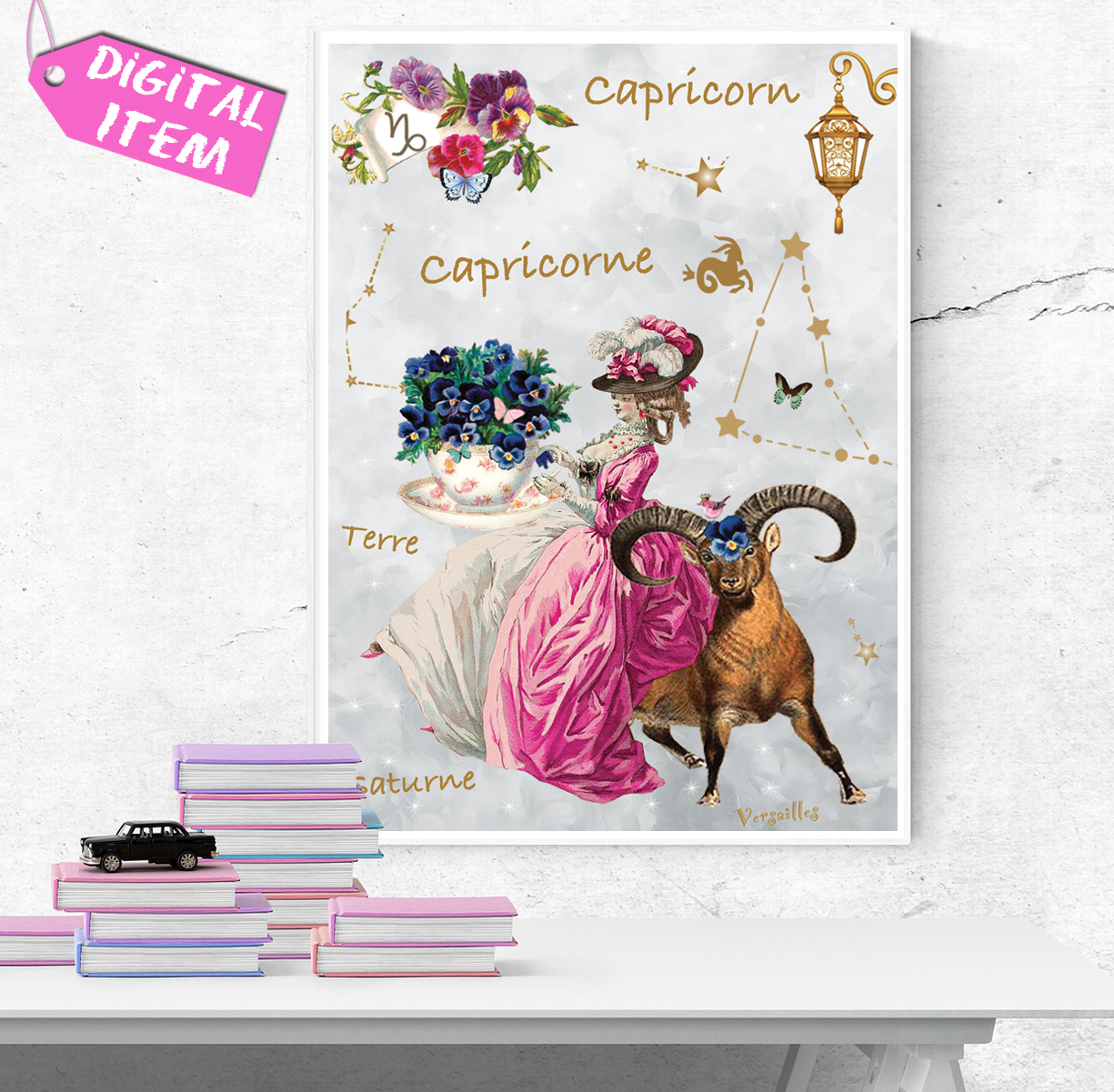 SIGNE ASTROLOGIE CAPRICORNE