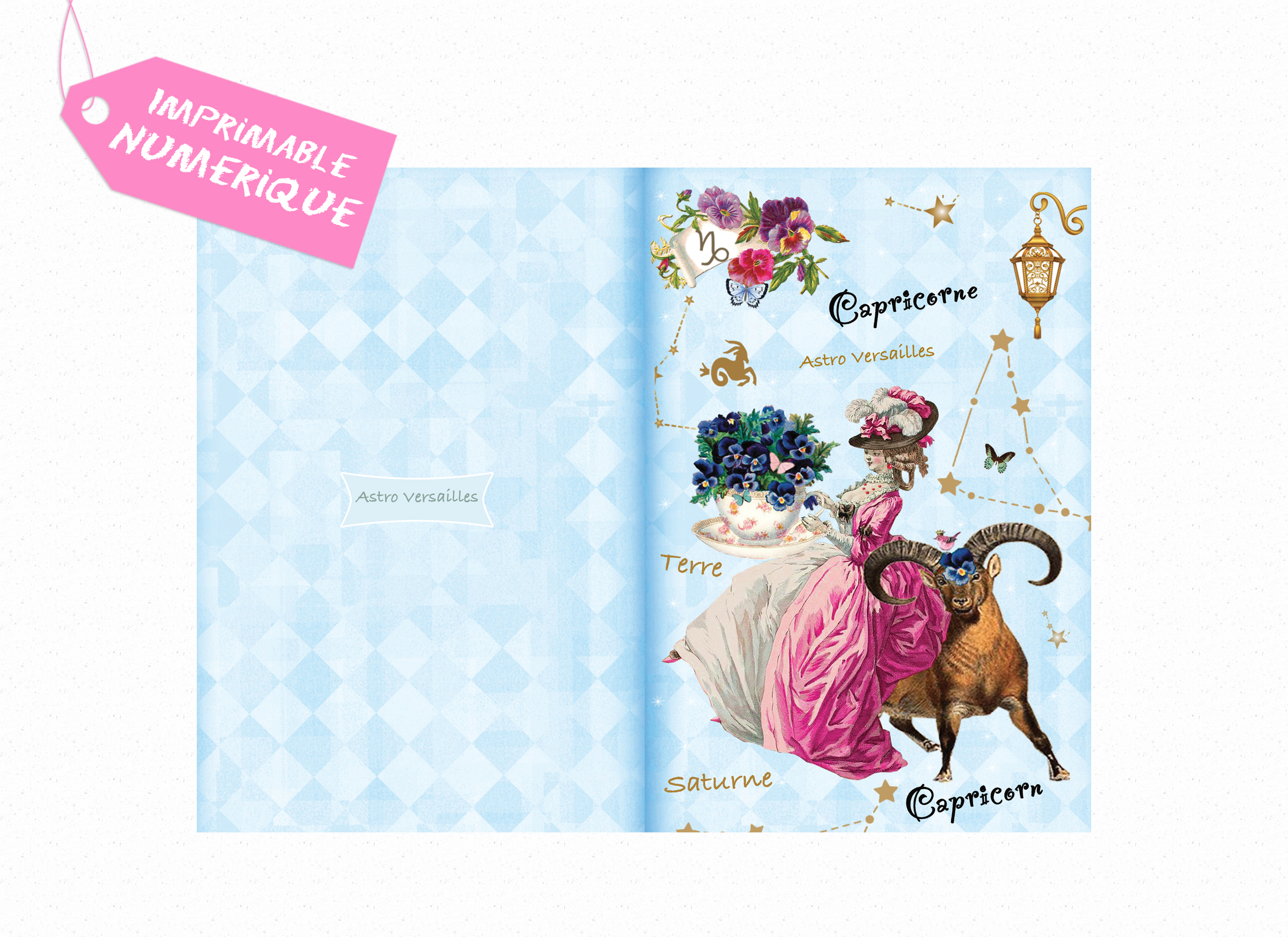 Carte postal astrologie zodiaque capricorne
