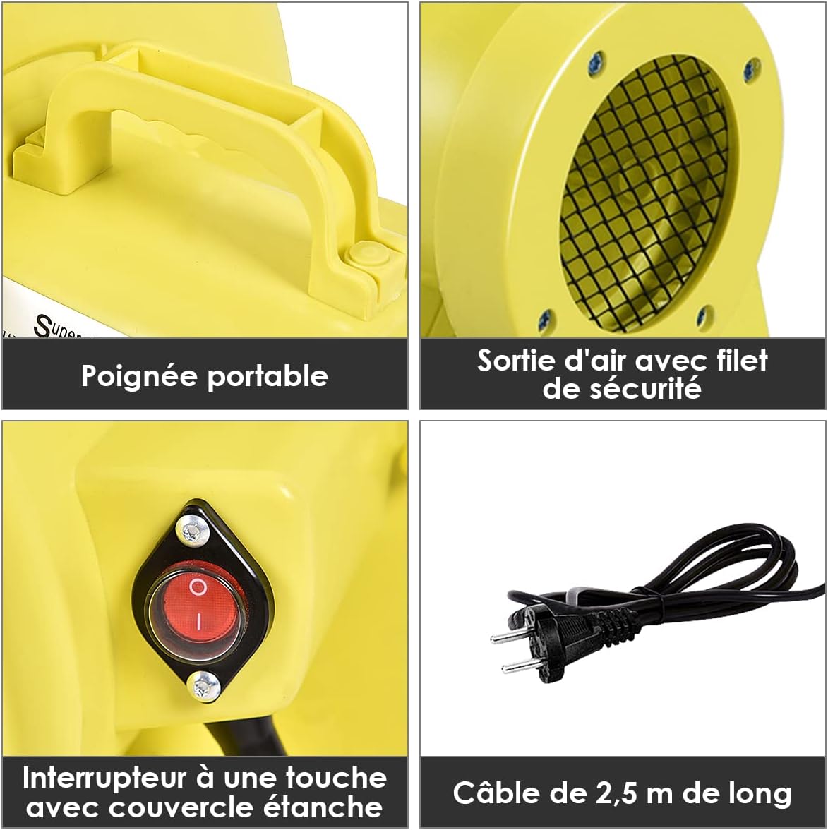 Détails du souffleur : poignée, grille à filet, interrupteur protégé et câble de 2,5 m