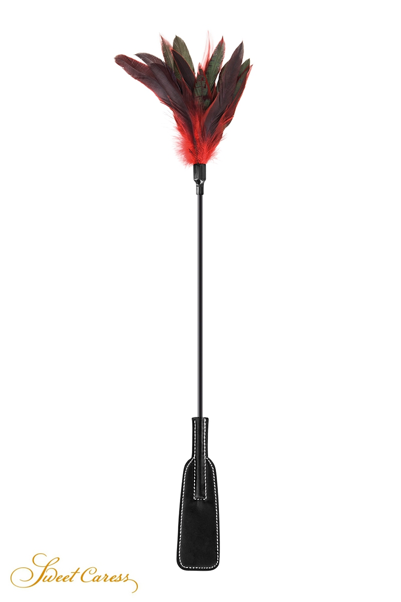 18511