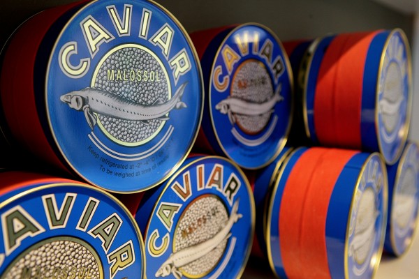 Caviar de FRANCE aquitaine boite www.luxfood-shop.fr
