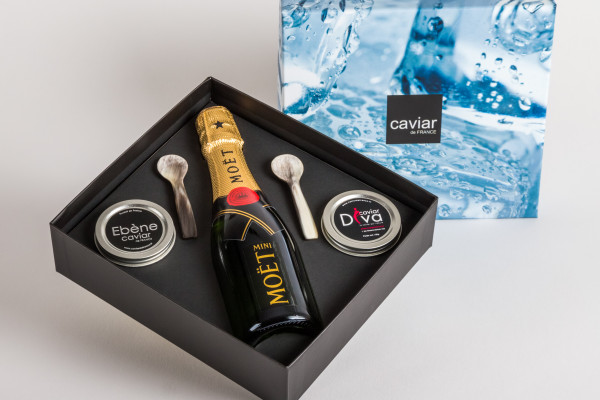 coffret glacon Caviar de France champagne et cuillères www.luxfood-shop.fr
