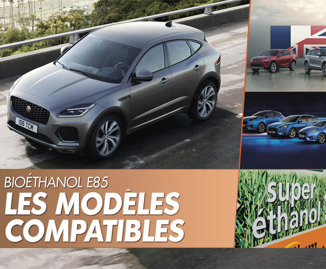 modeles compatibles ethanol