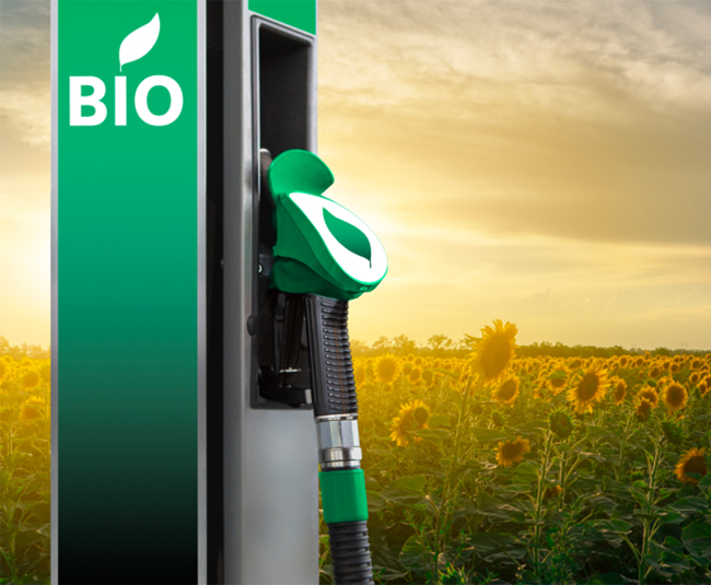bioethanol agriculture