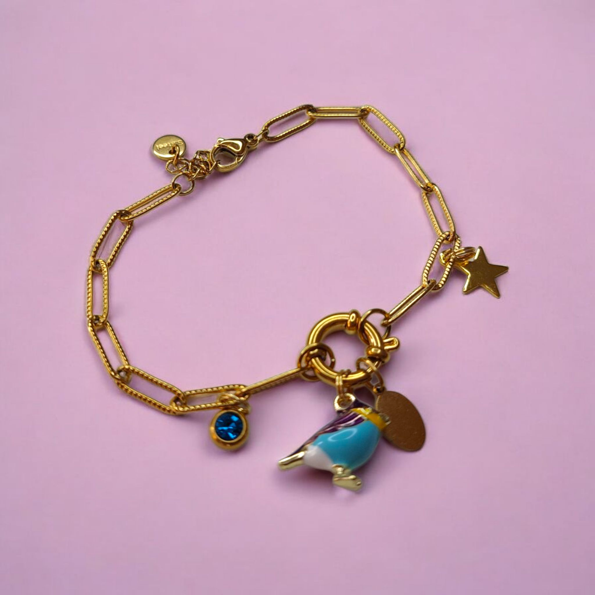Bracelet 100% charms