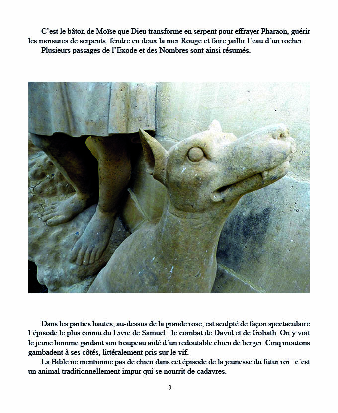 INT-BESTIAIRE-REIMS-9