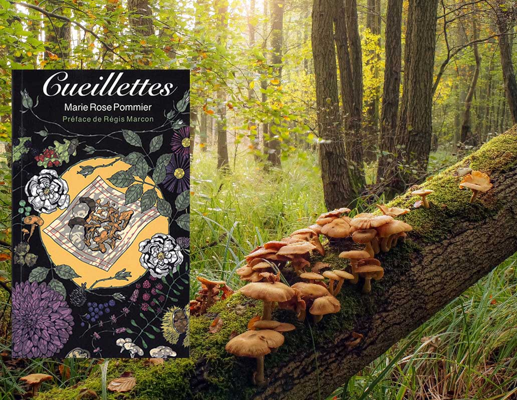 présentation du livre Cueillettes de Mari Rose Pommier aux éditinos AKKI- sur fond de sous bois avec un tronc darbre plein de champignon-la couverture du livre végétaux sur fond noir