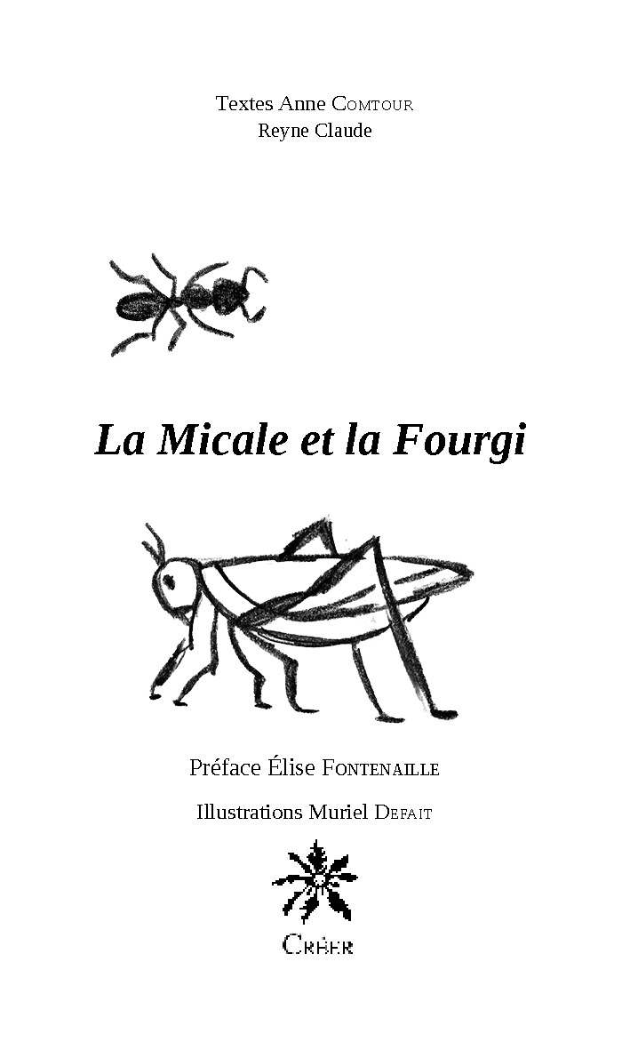 INT-LA MICALE ET LA FOURGI2