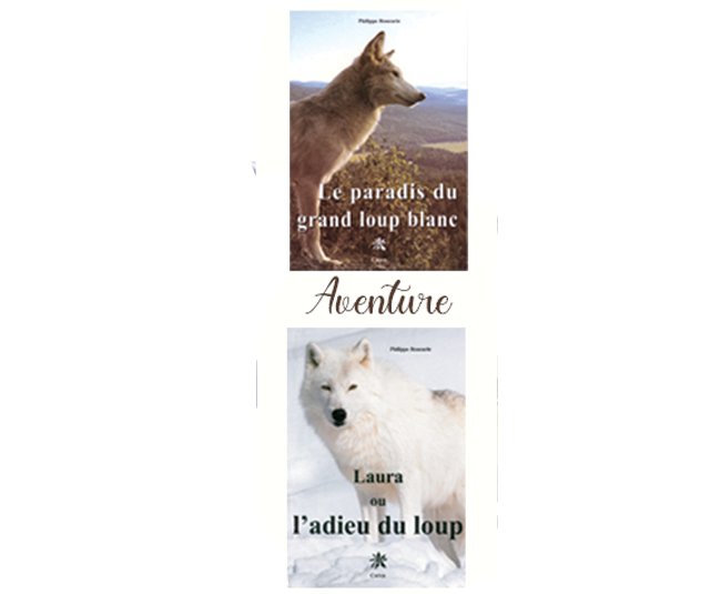 projet complet