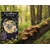présentation du livre Cueillettes de Mari Rose Pommier aux éditinos AKKI- sur fond de sous bois avec un tronc d'arbre plein de champignon-la couverture du livre végétaux sur fond noir
