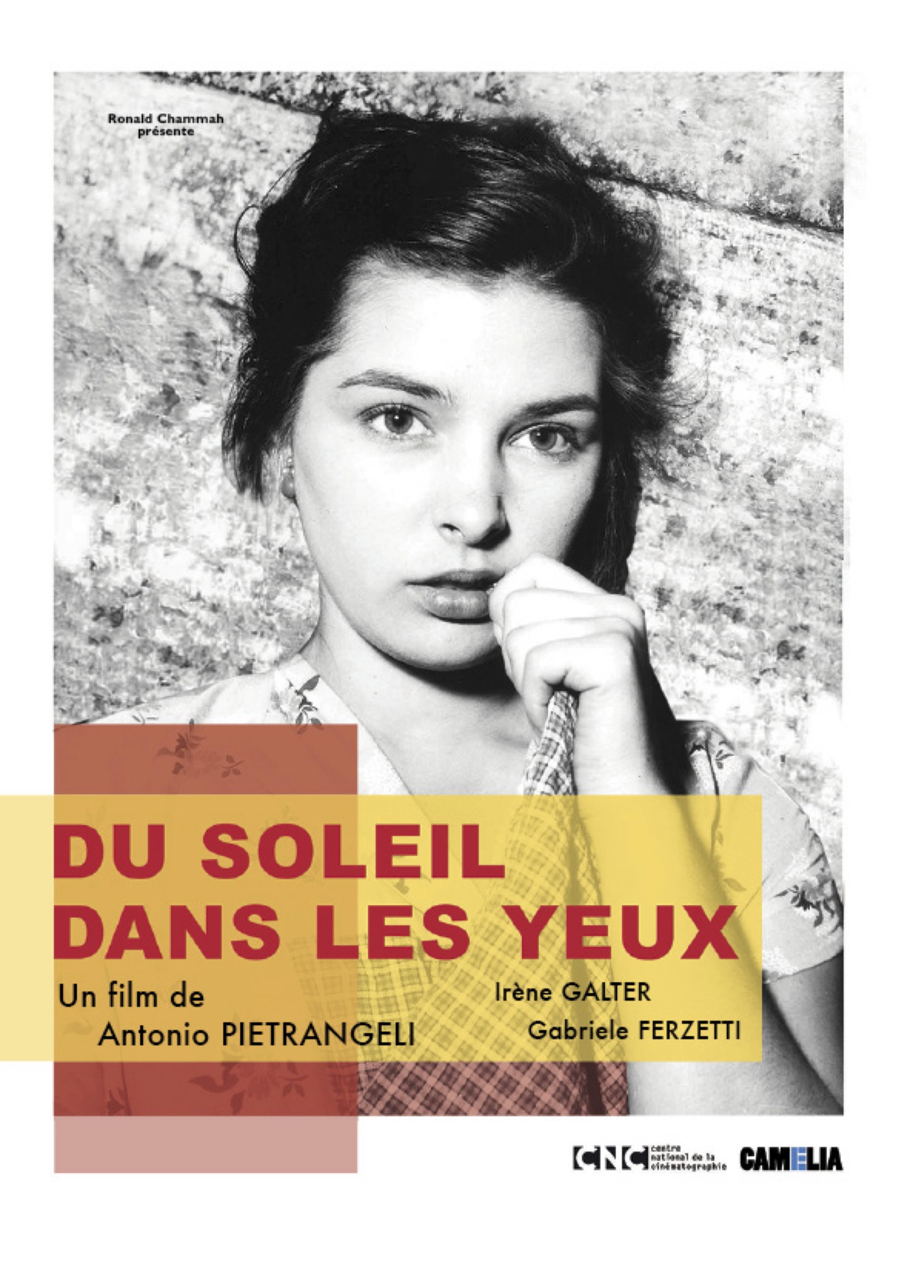 DP Du soleil dans les yeux (glissé(e)s)