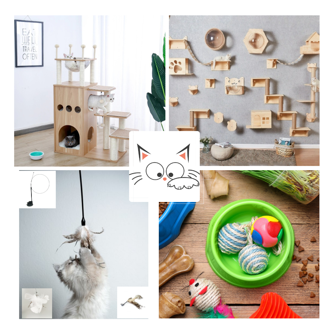 LES FICHES CONSEILS DE MARGOT - 6 jouets indispensables pour chat d\' intérieur