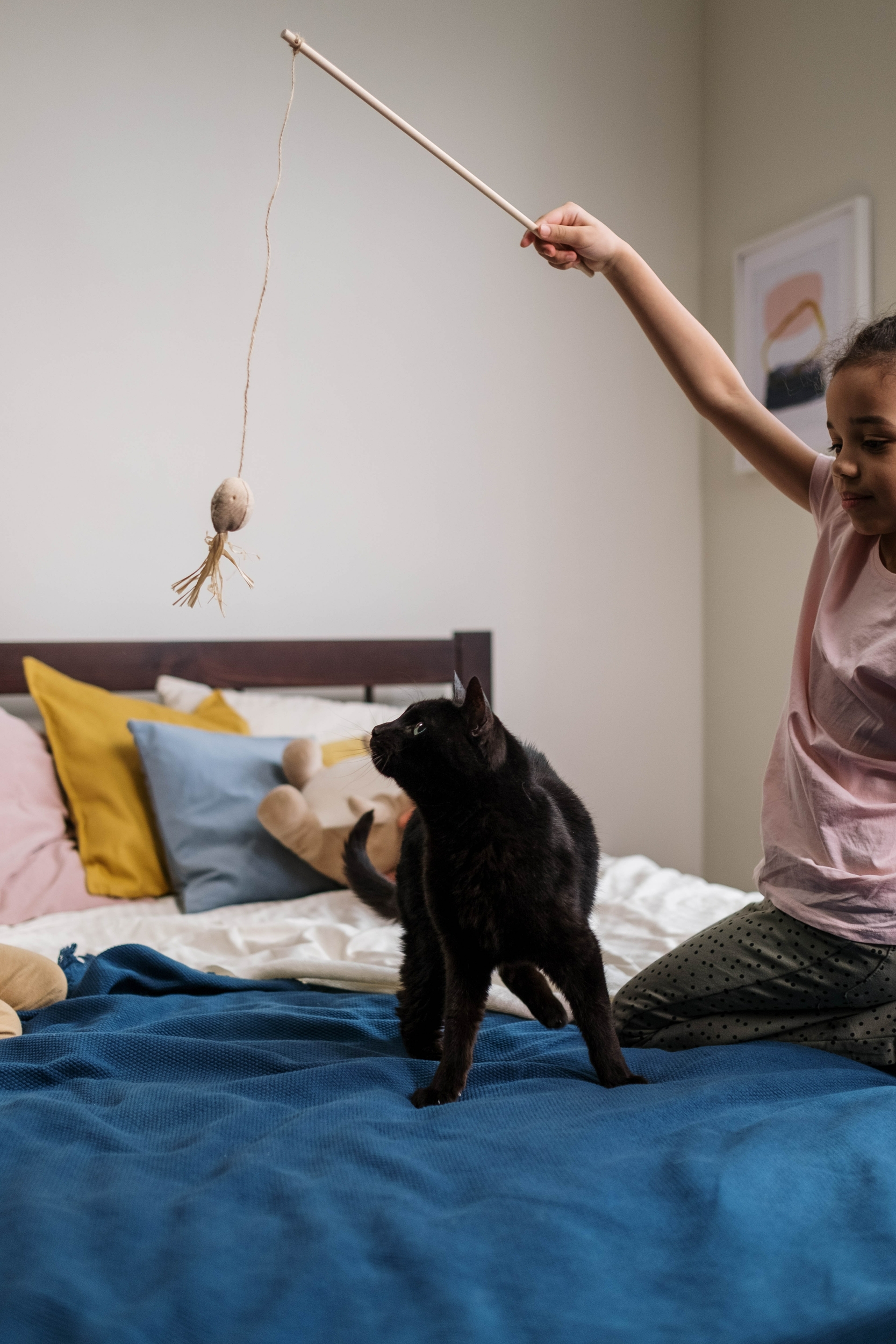 Comment préparer son enfant à accueillir un chaton?