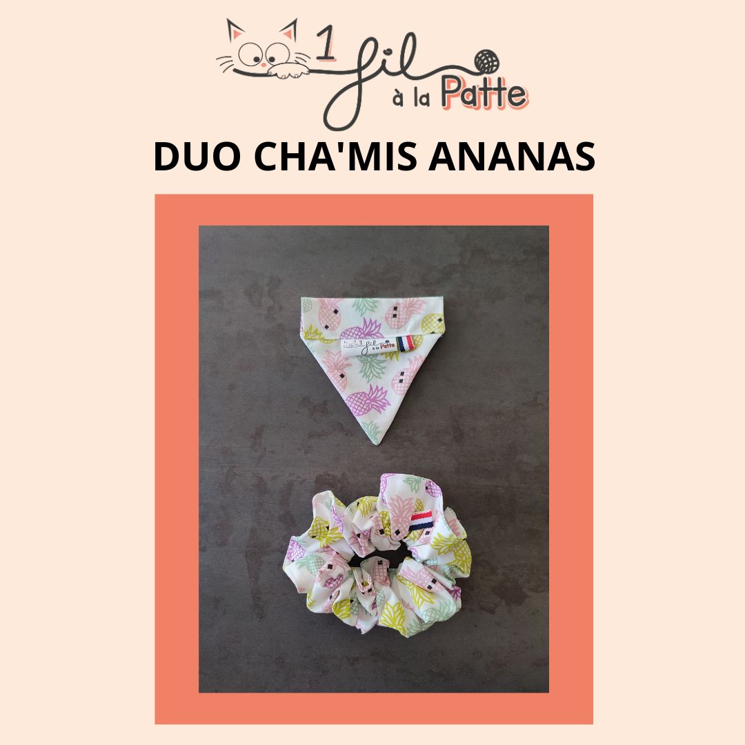 DUO CHAMIS ANANAS