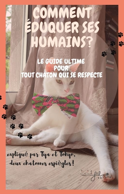 Ebook Comment éduquer ses humains - Le guide ultime pour tout chaton qui se respecte!