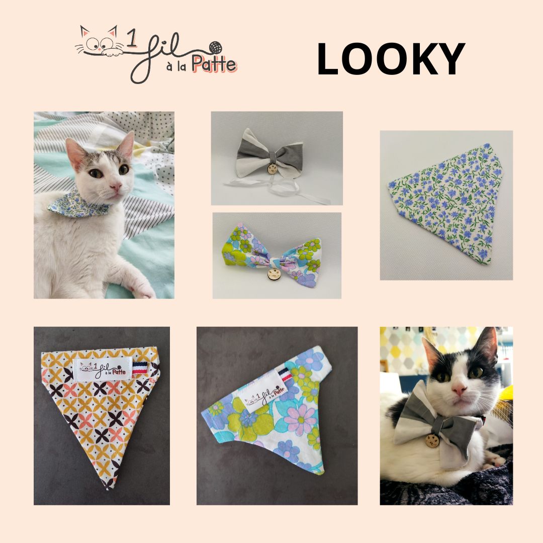 Collection Looky de printemps : bandanas et nœuds papillons pour chat