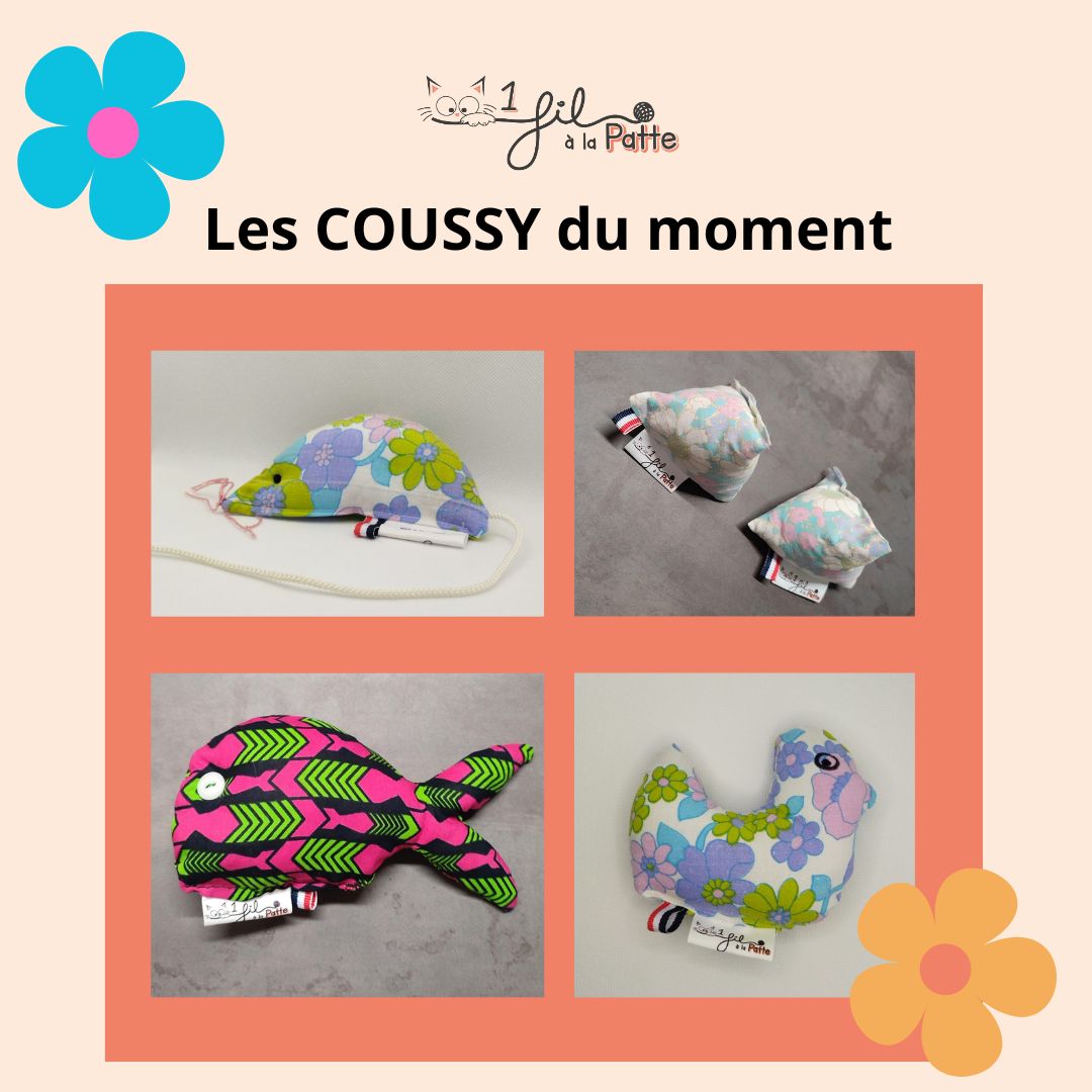 COUSSY DU PRINTEMPS