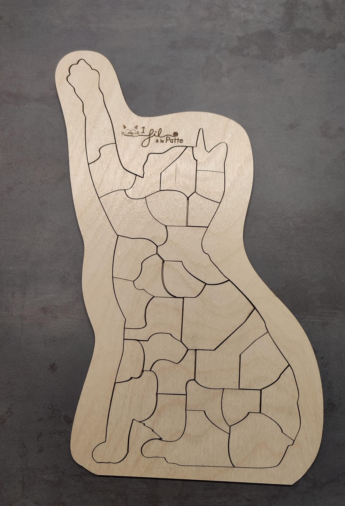 PATTE LEVEE1