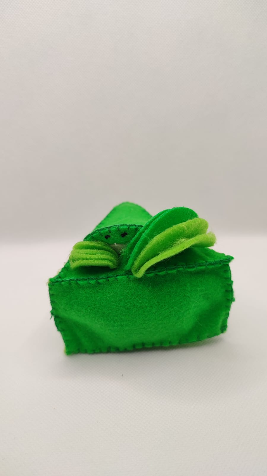 GATEAU KIWI (5)