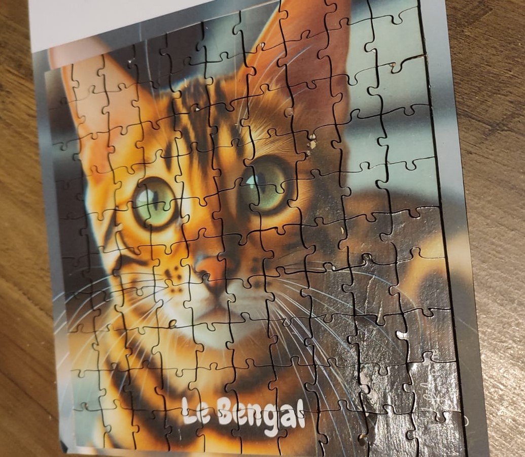 bengal 100p