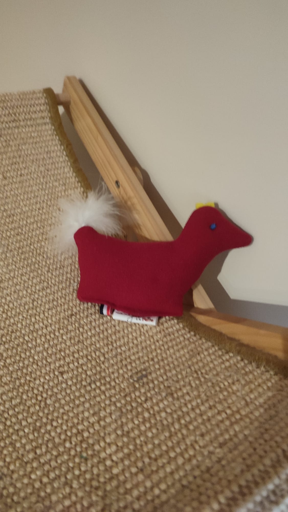 poulette rouge plumes blanches 1